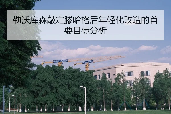 lei-wo-ku-sen-qiao-ding-teng-ha-ge-hou-nian-qing-hua-gai-zao-de-shou-yao-mu-biao-fen-xi-2-843.jpg