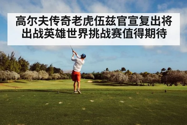 高尔夫传奇老虎伍兹官宣复出将出战英雄世界挑战赛值得期待